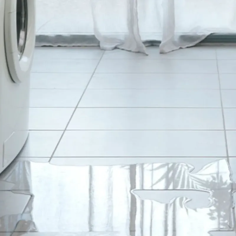 Appliance Leak Cleanup in Hampton County, SC
