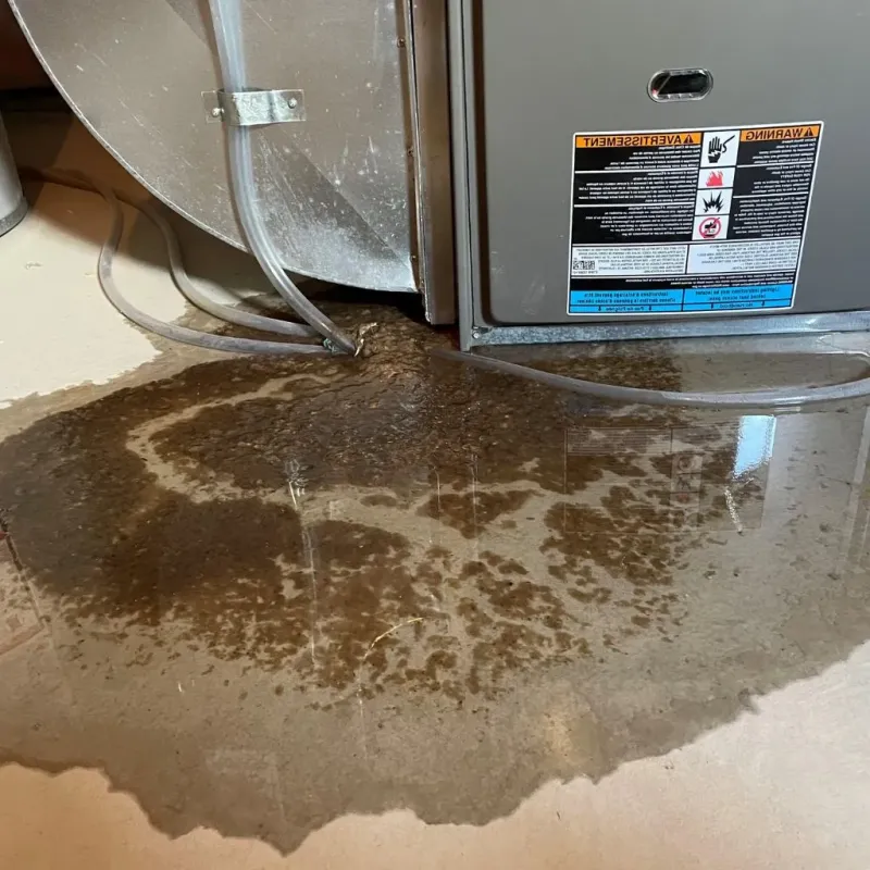 Pipe Burst and Leak Restoration in Hampton County, SC