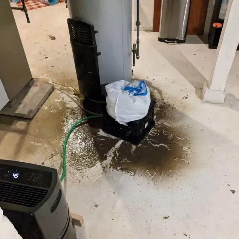 Sewage Backup Cleanup Service in Hampton County, SC